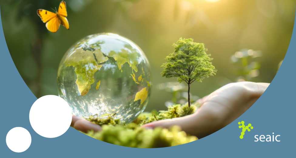 EL ESTUDIO DEL EXPOSOMA ES CLAVE PARA ENTENDER EL IMPACTO DEL CAMBIO CLIMÁTICO EN LAS ALERGIAS